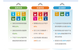 ​维达发布2025年可持续发展报告：以和谐共创增强组织韧性，夯实可持续发展根基
